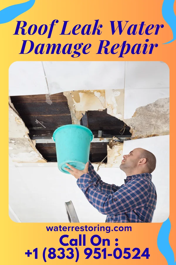 Roof Leak Water Damage Repair in Gilmer, TX