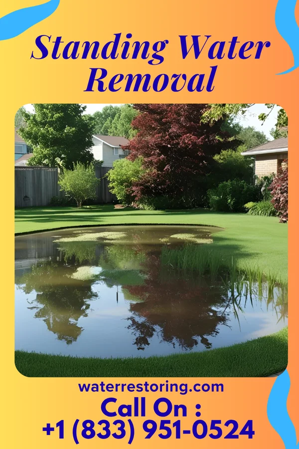 Standing Water Removal in Gilmer, TX